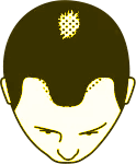 Nível 3